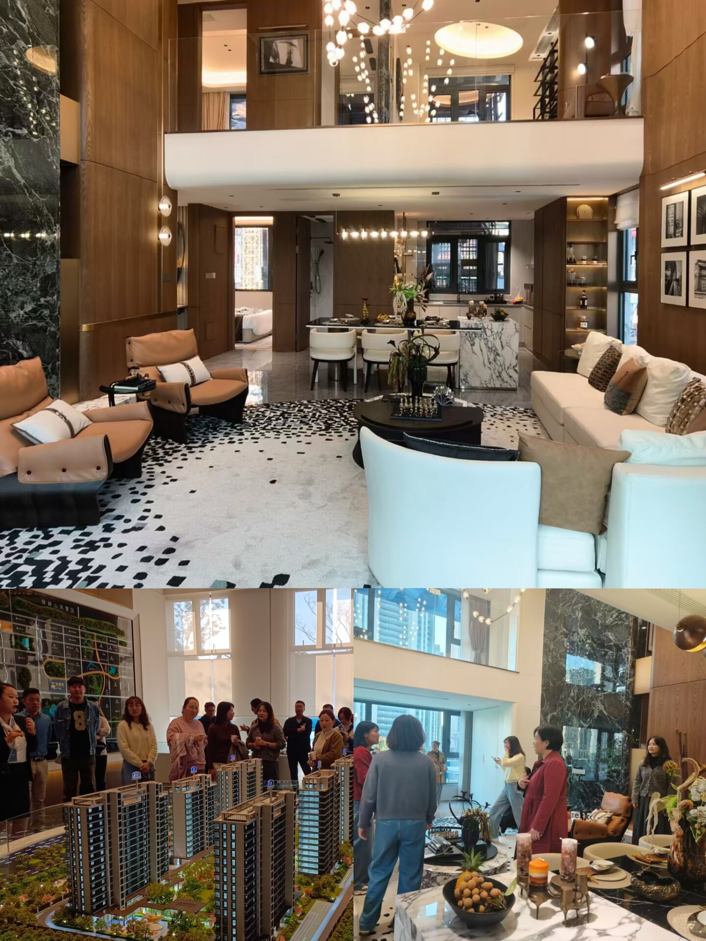 QQ圖片20241113171908